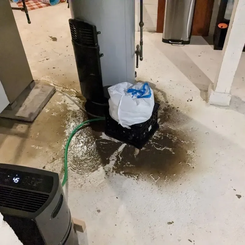 Sewage Backup Cleanup Service in Dickey County, ND